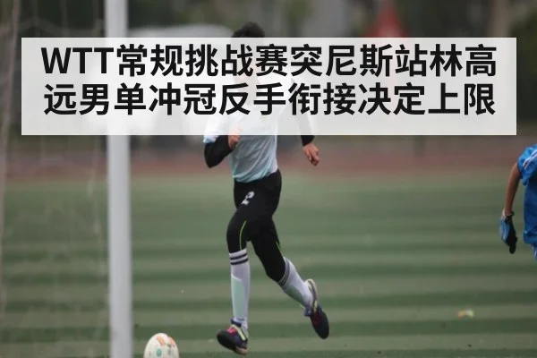 WTT常规挑战赛突尼斯站林高远男单冲冠反手衔接决定上限